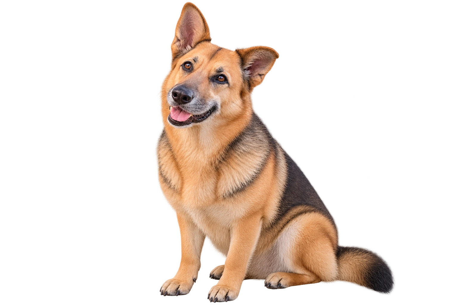 An AI-created portrait of Luna sitting and looking upward.